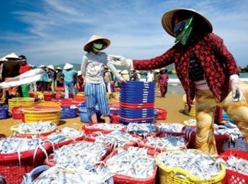 chợ hải sản sầm sơn
